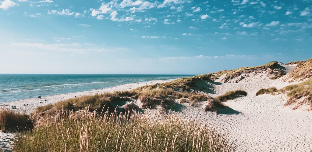 sand dunes with dune grass on the beach